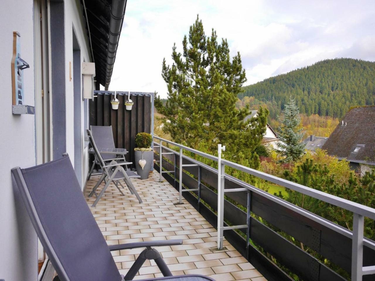Komfort-Fewo Ettelsberg-Panorama Willingen  Room photo